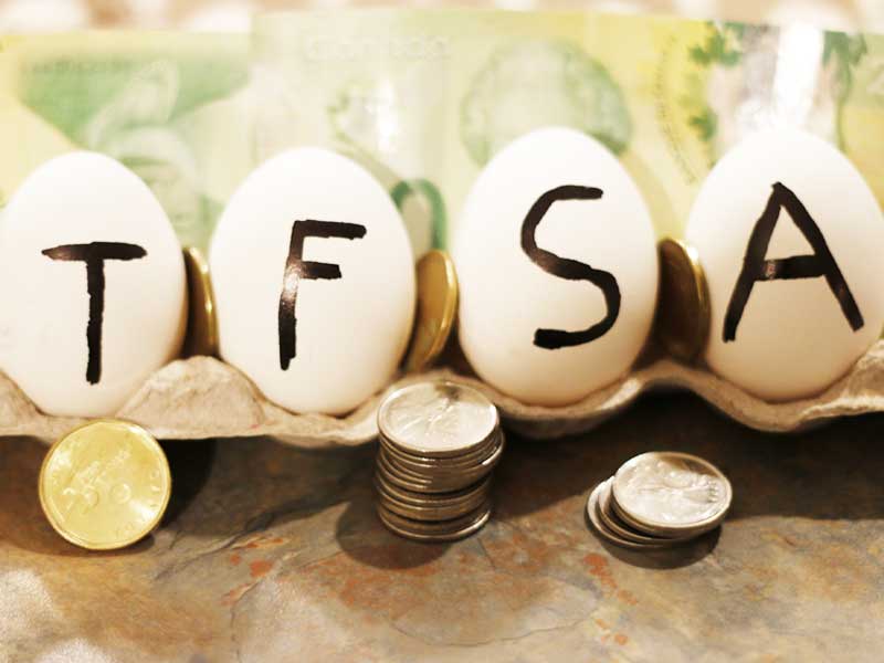 TFSA egg nest